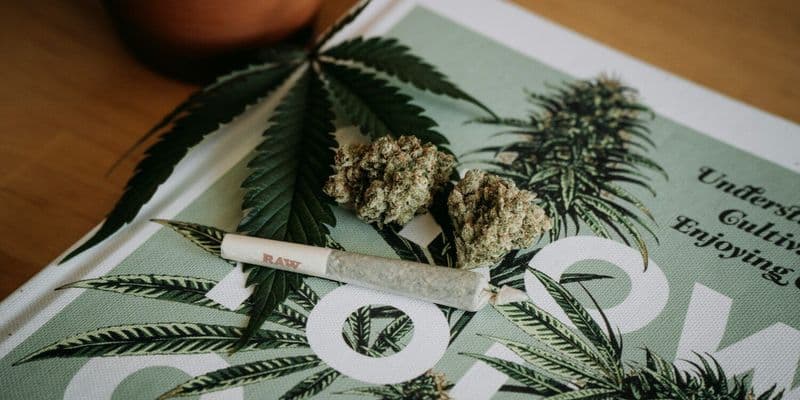 Holanda comienza la venta de cannabis regulada y tolerada