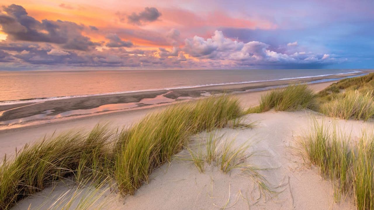 Dunas en Texel
