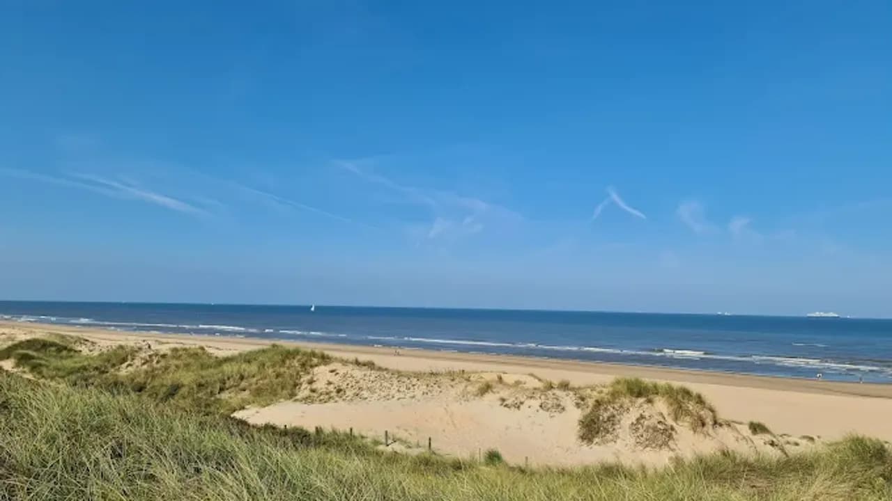 Hollandse Duinen
