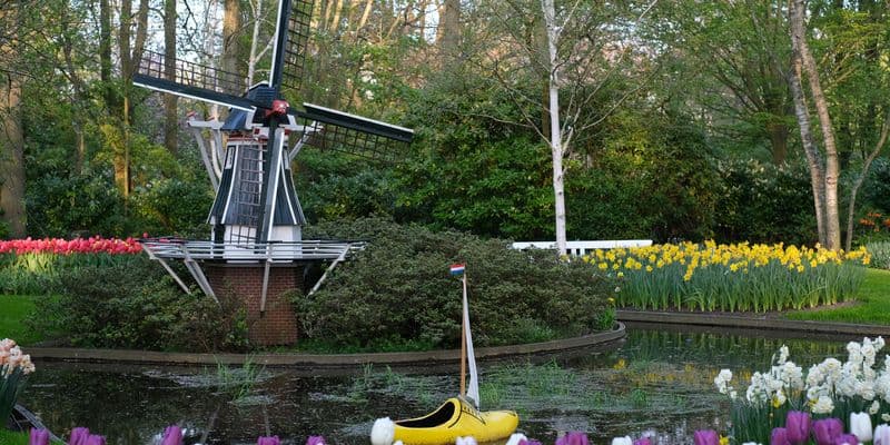 Keukenhof
