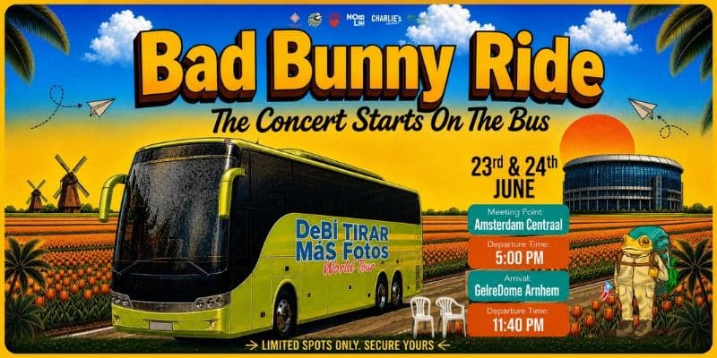 Bus Bunny Ride
