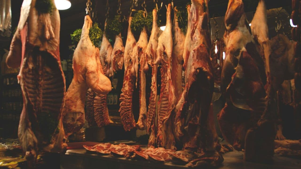 Matadero - Foto de Laura Fernandez en Unsplash