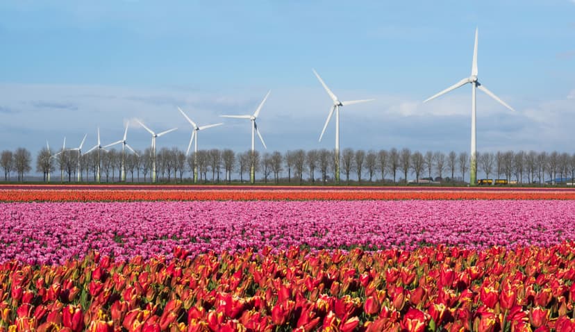 Noordoostpolder
