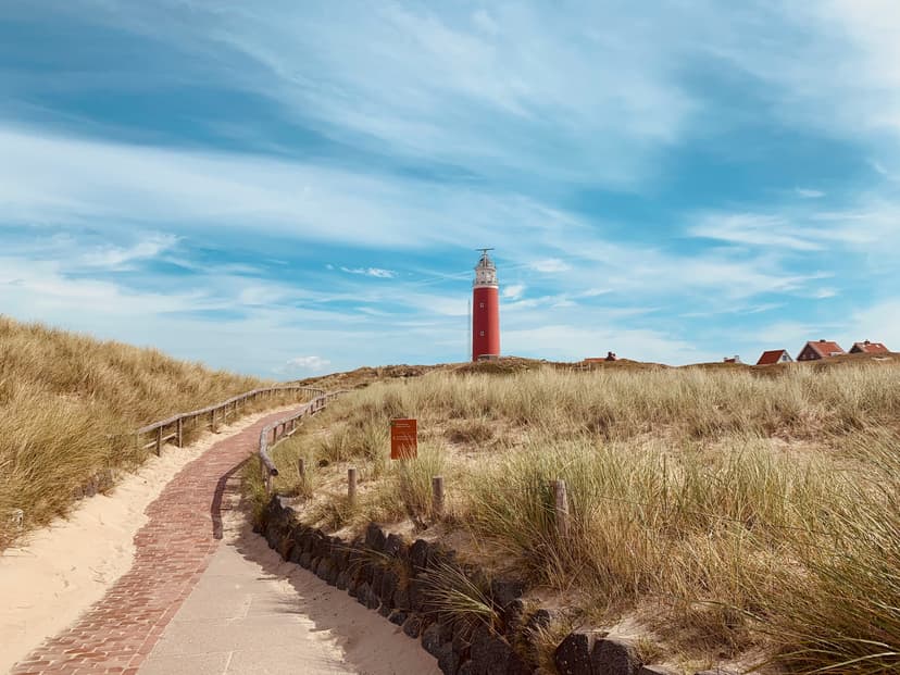 Texel
