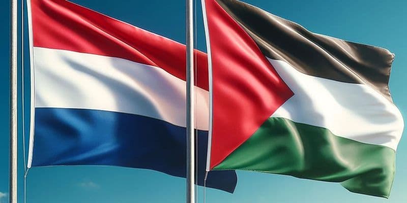 El Consejo Asesor de Holanda pide un cambio de política en el conflicto Israel-Palestina