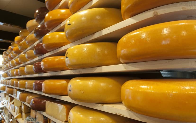 Quesos Gouda