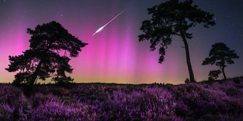Noche Mágica en Holanda: Auroras Boreales y Perseidas Iluminan el Cielo