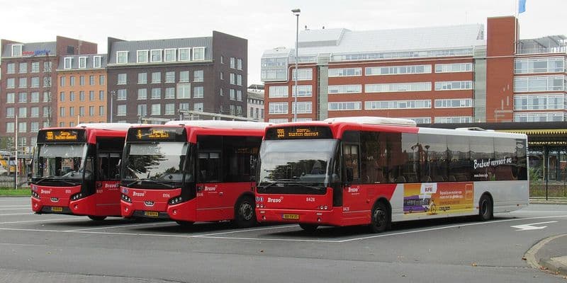 Limburgo innovará con conductores de autobús croatas que no hablan holandés