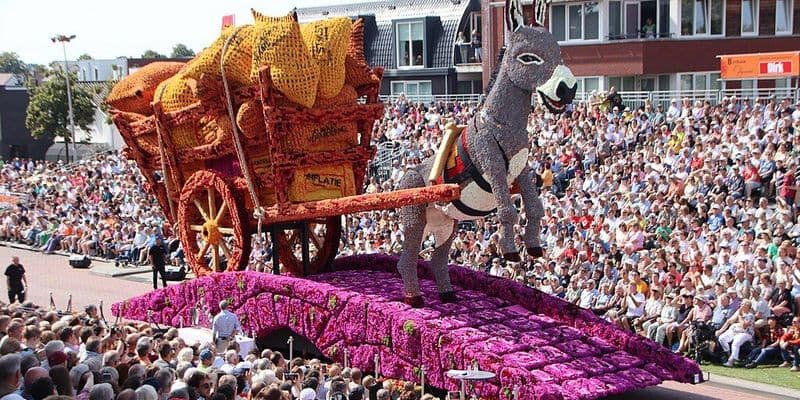El desfile de flores de Rijnsburg espera 400,000 visitantes