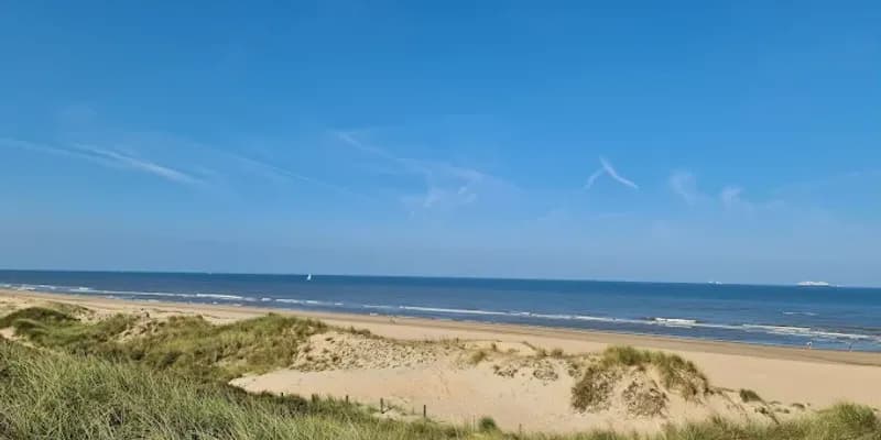 Hollandse Duinen