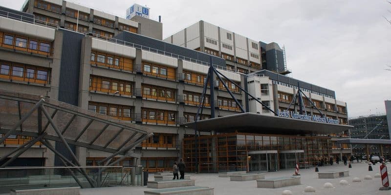 Corredores en el Maratón de Leiden recibieron atención médica debido al calor extremo
