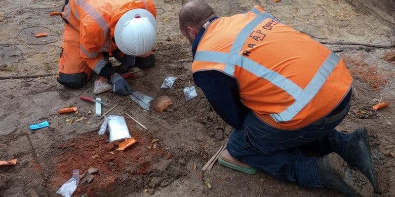 Investigación de los esqueletos encontrados por arqueólogos de la RAAP.