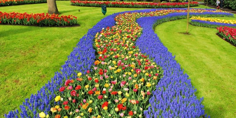 Keukenhof