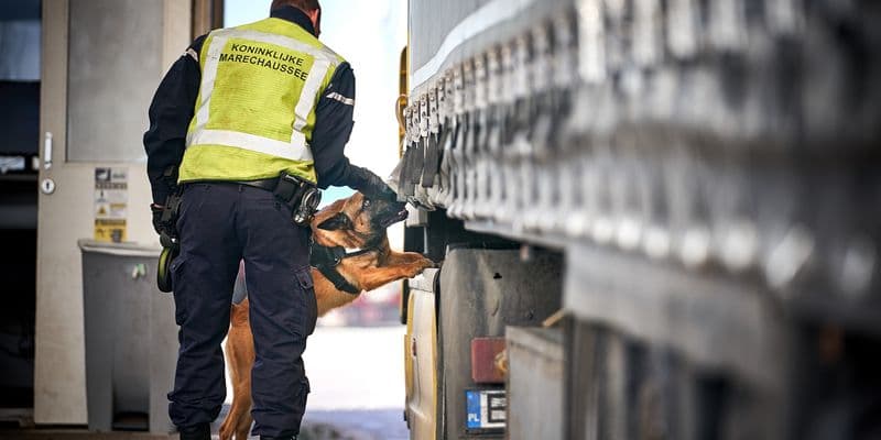 Koninklijke Marechaussee y perro inspeccionando un camión