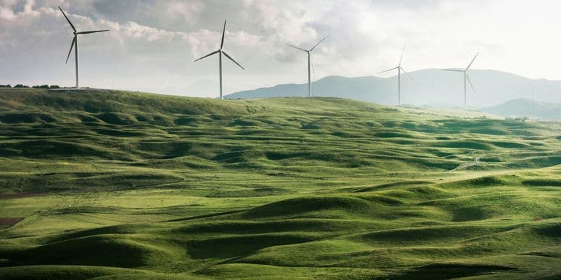 Molinos de viento - Foto de Appolinary Kalashnikova en Unsplash