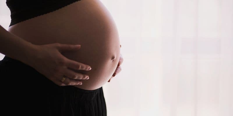 El partido SGP de Países Bajos Contra la gestación subrogada