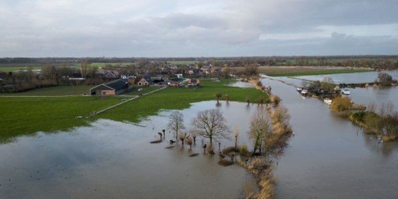 Río Rhine