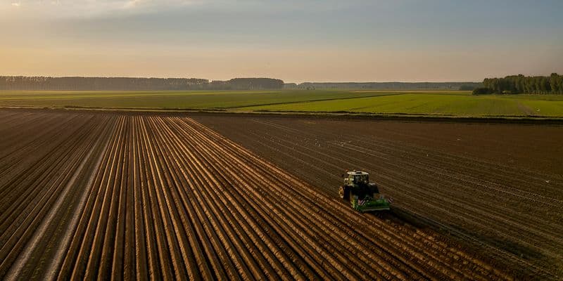 Tractor en un campo