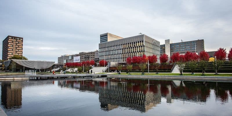Universidad Erasmus de Róterdam
