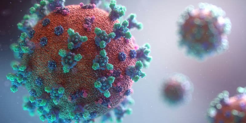Virus