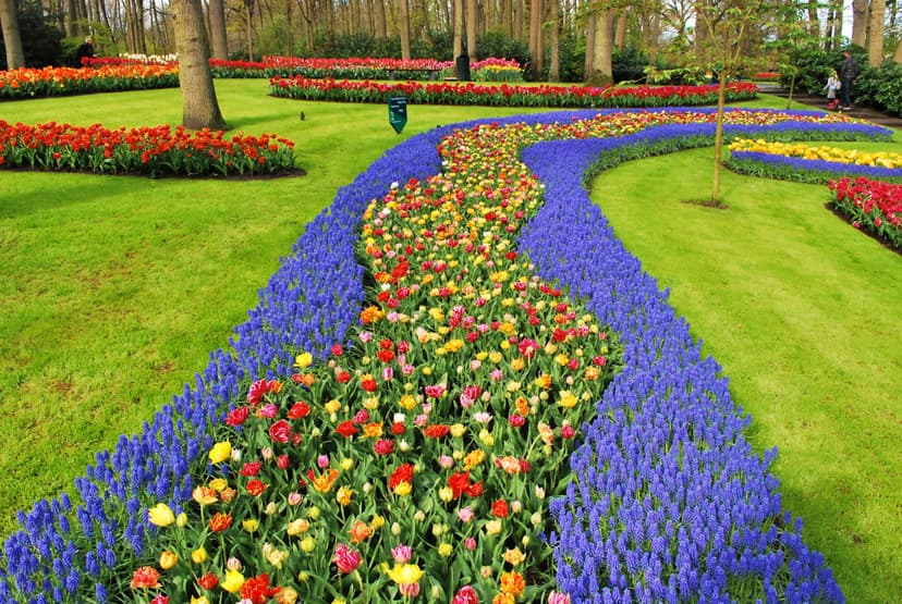 Keukenhof