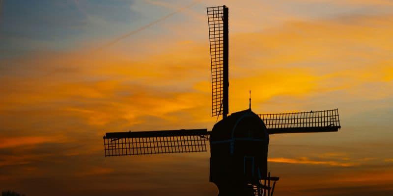 Molino al atardecer en Rotterdam
