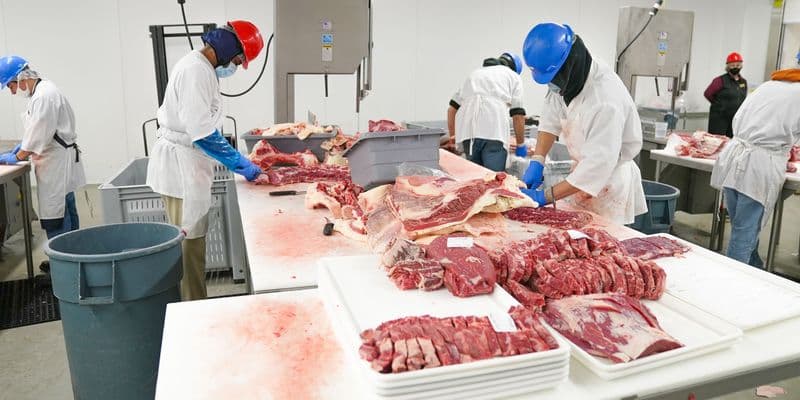 Trabajadores en una planta de procesamiento de carne