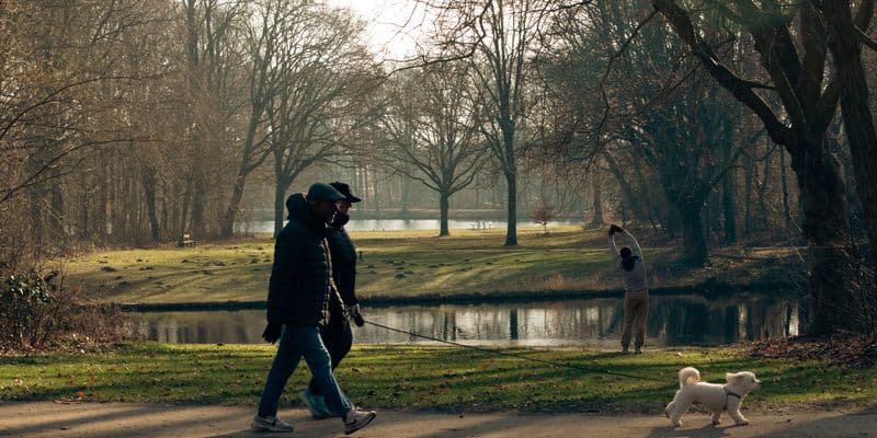 La muerte de un sexto perro amplía la alerta en Schiedam