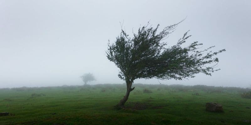 La tormenta Isha azota Holanda: Vientos huracanados y perturbaciones en el transporte