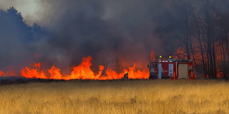 Alerta por incendios en Holanda: la sequía y el viento avivan el peligro