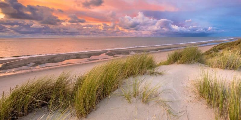 Dunas en Texel