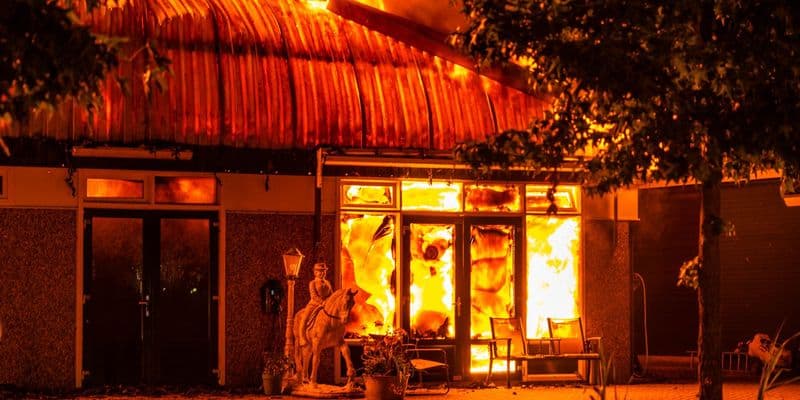 Incendio en escuela de equitación de Zeewolde deja 18 caballos muertos