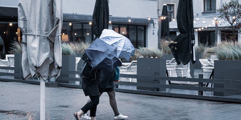 Países Bajos planea “barreras climáticas invisibles” para reducir el viento y la lluvia