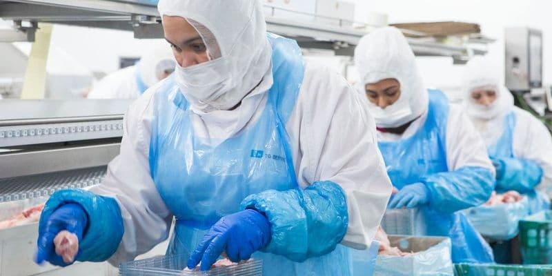 ¿Trabajar en Holanda con una ETT? Todo lo que necesitas saber